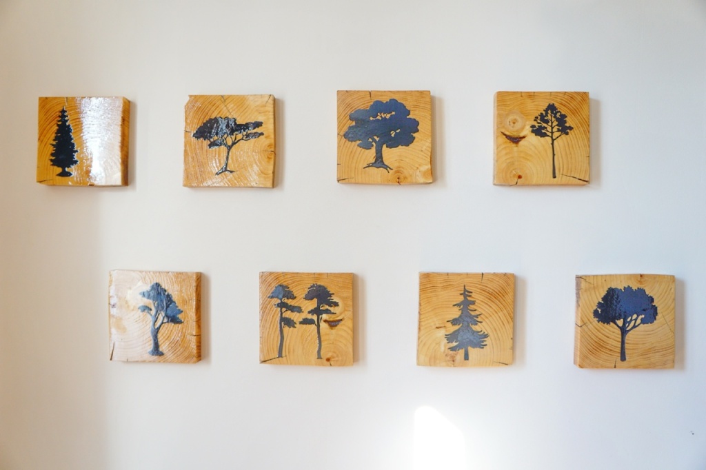 Номер двухместный Кындыг.jpg