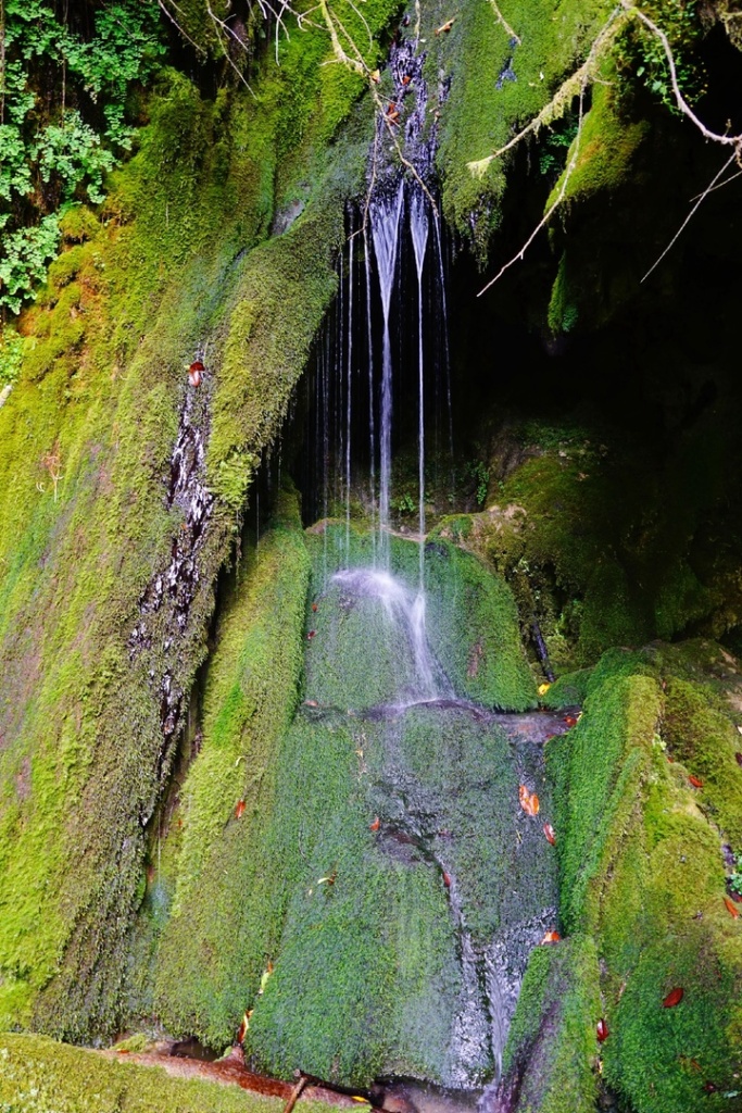 Багатский водопад.jpg