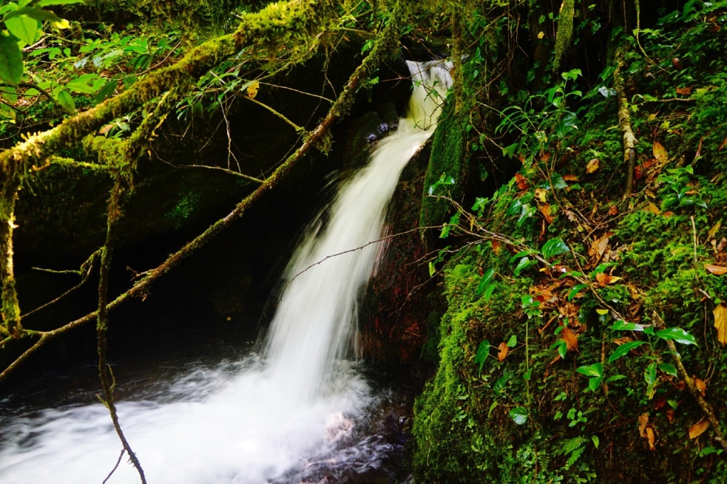 водопад Ткварчал нижняя ступень.jpg