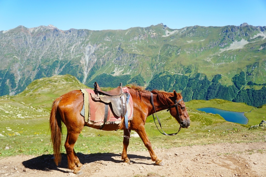 Долина Семи озер лошади.jpg