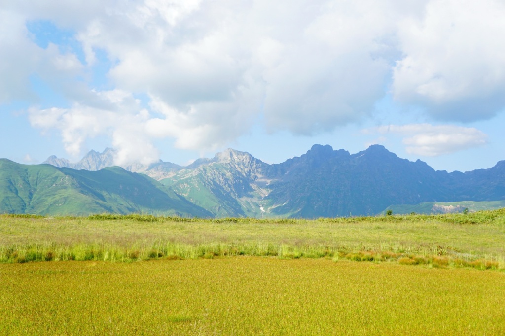 Ацетука травяное озеро.jpg