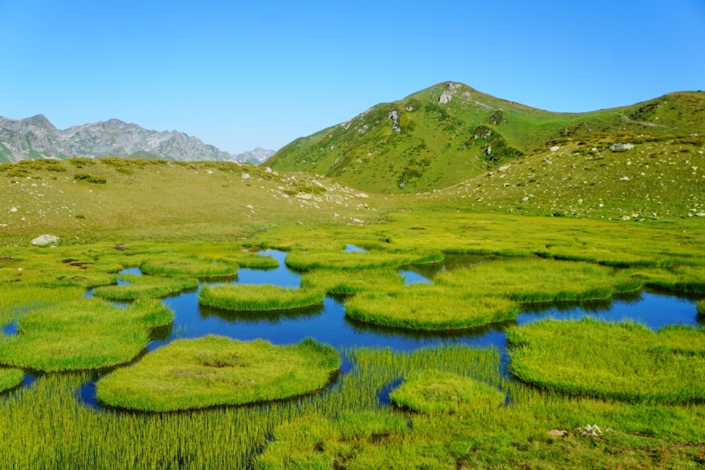 Долина Семи озеро Мшистое озеро.jpg