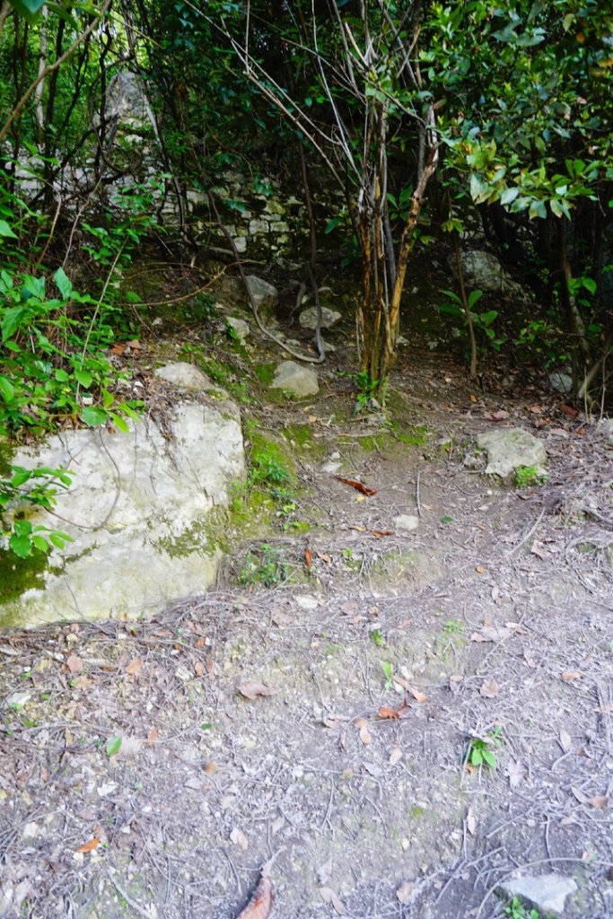 Тропа к смотровой Ласточкино гнездо Новый Афон.jpg