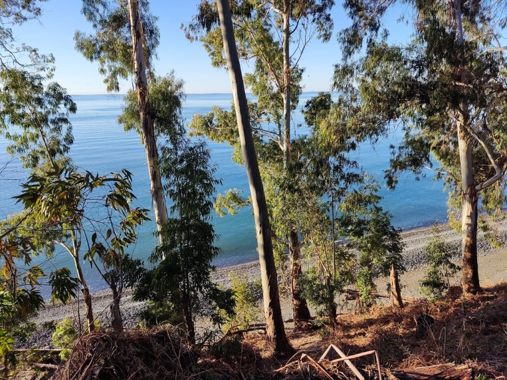 Пляж Кындыга.jpg