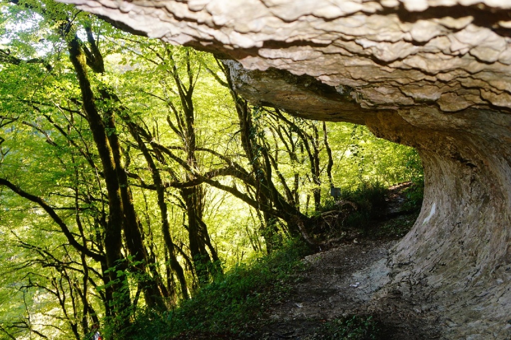 Кодорское ущелье, военно-сухумская дорога, шакуранский водопад, шакуранский каньон, шакуранская пещера, река Кодор, Кодор Абхазия, Шакуранский водопад Абхазия, Кодорское ущелье Абхазия