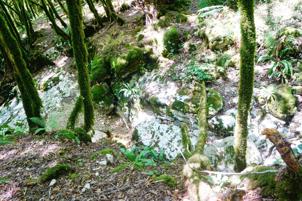 Сухой каньон Абхазия.jpg