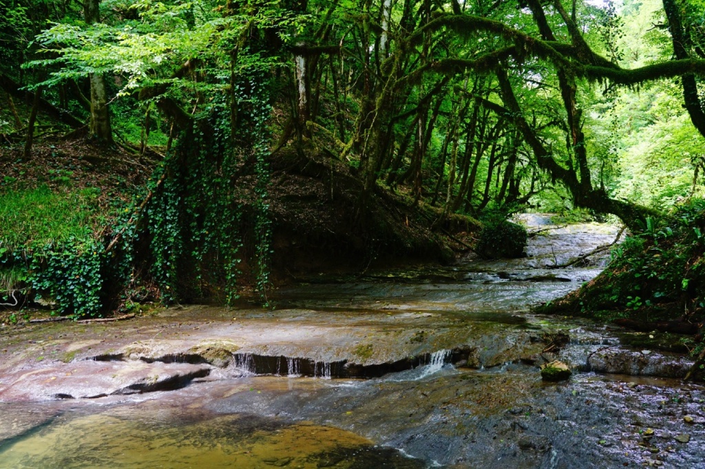 Полтавский каньон.jpg