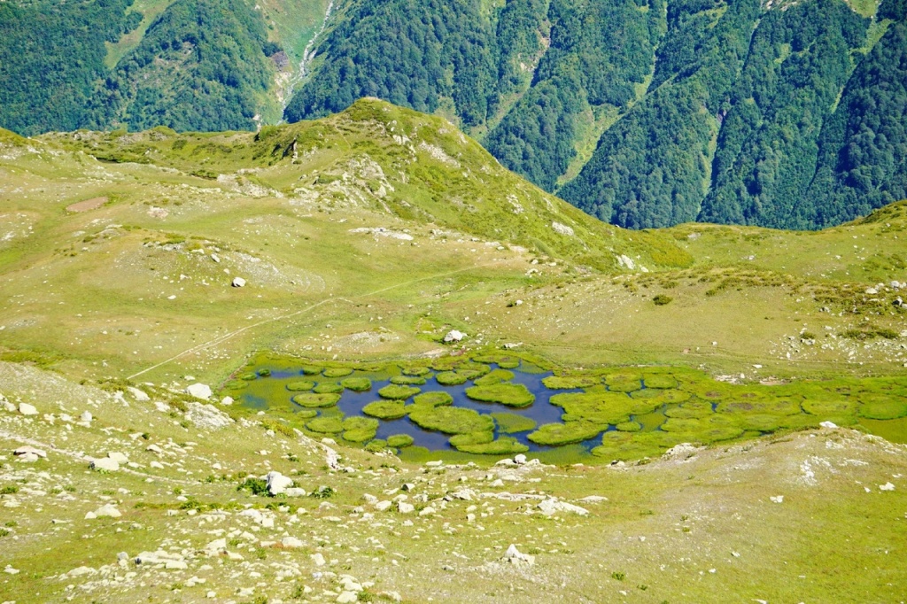 Долина Семи озер озеро Мшистое.jpg